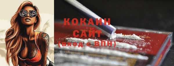 дмт Михайлов