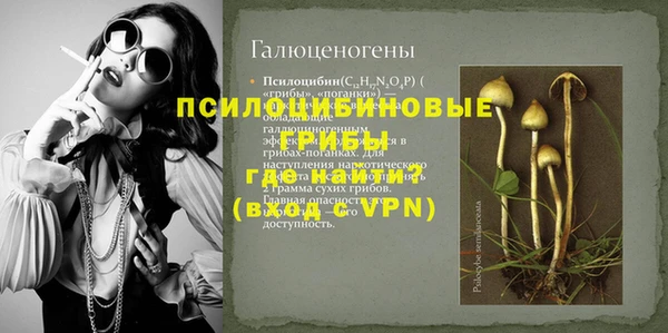 дмт Михайлов