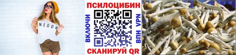 Галлюциногенные грибы MAGIC MUSHROOMS  закладка  Железногорск 