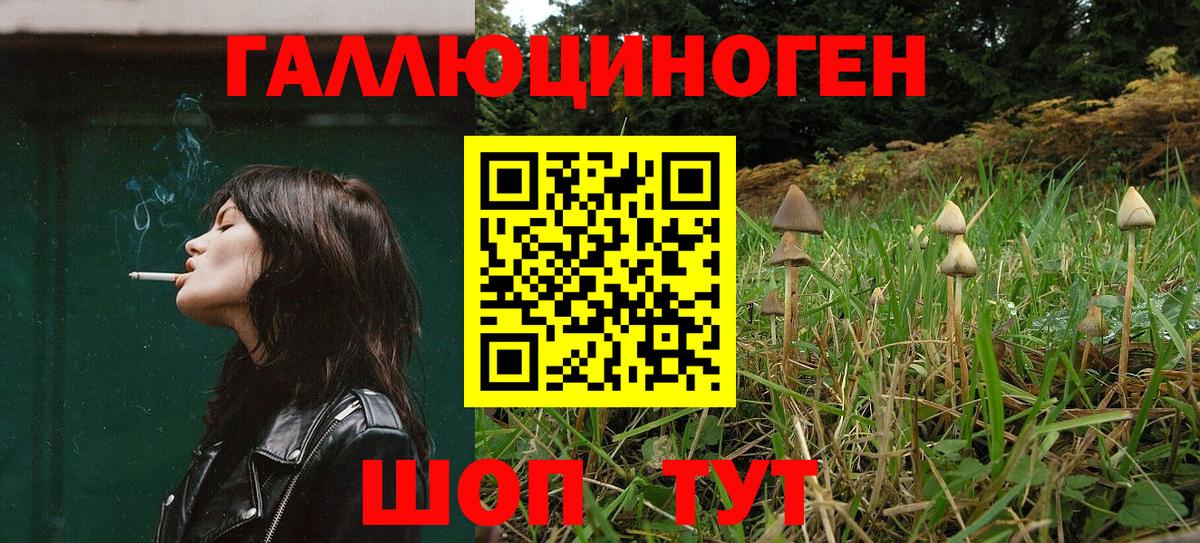 Галлюциногенные грибы Psilocybe Железногорск