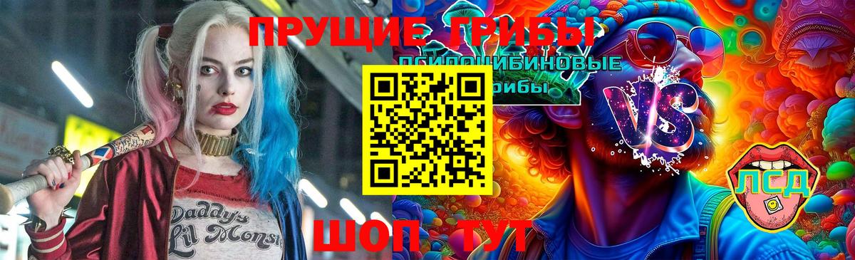 Галлюциногенные грибы Psilocybine cubensis  Железногорск 