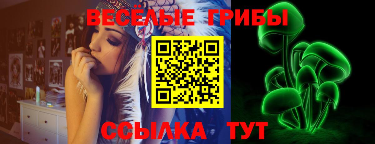 Псилоцибиновые грибы Magic Shrooms  Вход с VPN  Железногорск  Псилоцибиновые грибы мухоморы 
