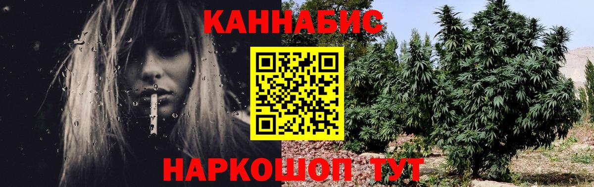 Конопля планчик  Бошки Шишки конопля  Железногорск  Вход с VPN  Марихуана марихуана  Бошки Шишки OG Kush 